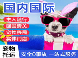 哈密伊州空运代理国际宠物托运 【国